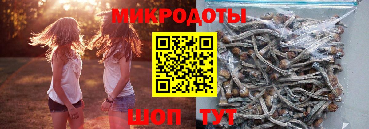 Галлюциногенные грибы мухоморы  Вход с VPN  Тосно 